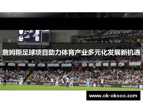 詹姆斯足球项目助力体育产业多元化发展新机遇