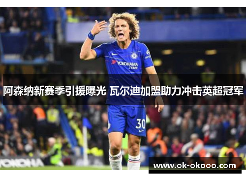 阿森纳新赛季引援曝光 瓦尔迪加盟助力冲击英超冠军