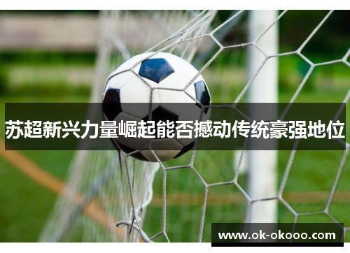 苏超新兴力量崛起能否撼动传统豪强地位